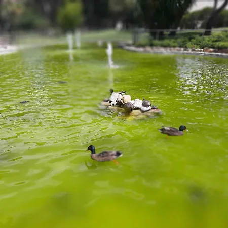 Appartamento Beachfront Cascais,estoril