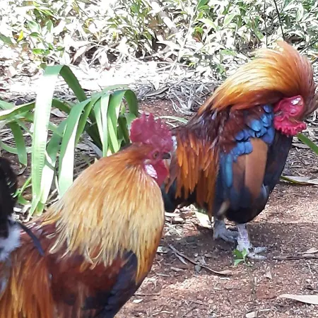 Beachfront Cascais,estoril Appartamento