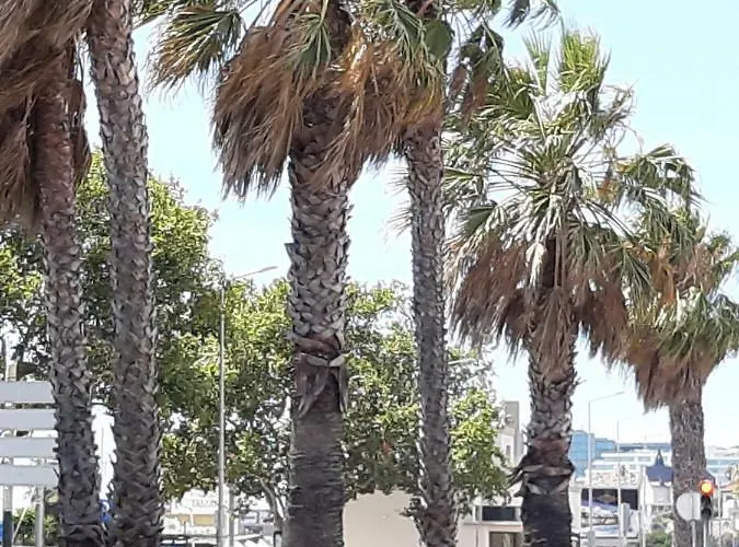 Lejlighed Beachfront Cascais,estoril *