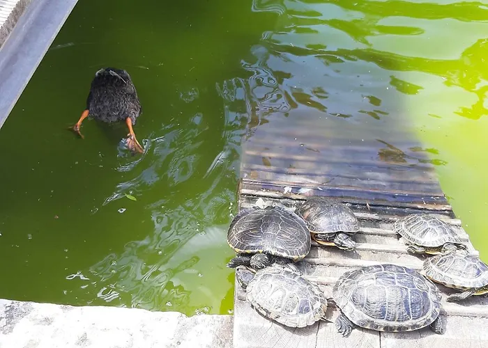 Lejlighed Beachfront Cascais,estoril