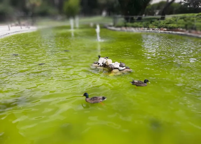 Lejlighed Beachfront Cascais,estoril